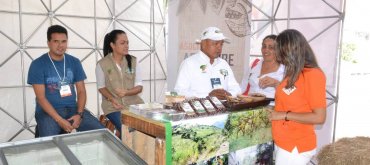 Concurso de cacao en Apartadó