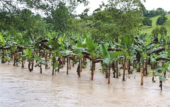 Bananeras de Urabá inundadas
