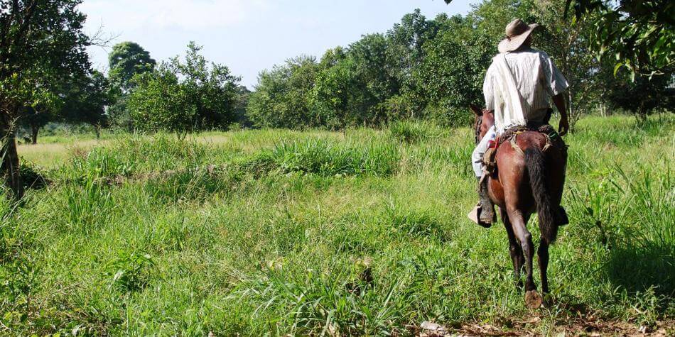 Reclamantes de tierras en Urabá