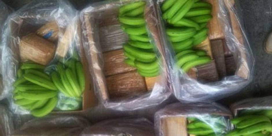 Cocaína en Cajas de banano