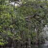 Cienaga en Necoclí